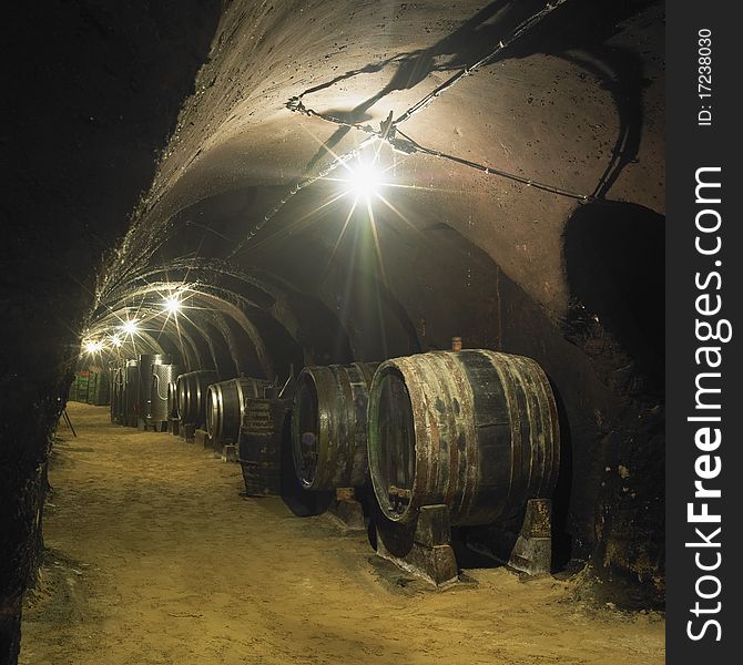 Wine cellar in Czech Republic