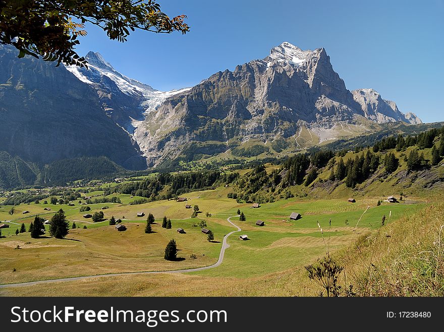 Alpine Valley