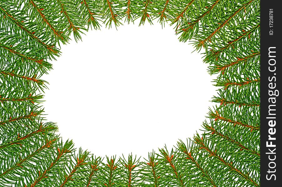Christmassy oval frame of fir tree. Christmassy oval frame of fir tree