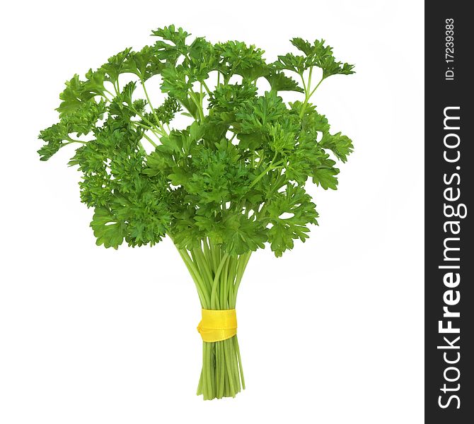 Parsley herb leaves tied in in a bunch isolated over white background. Parsley herb leaves tied in in a bunch isolated over white background.