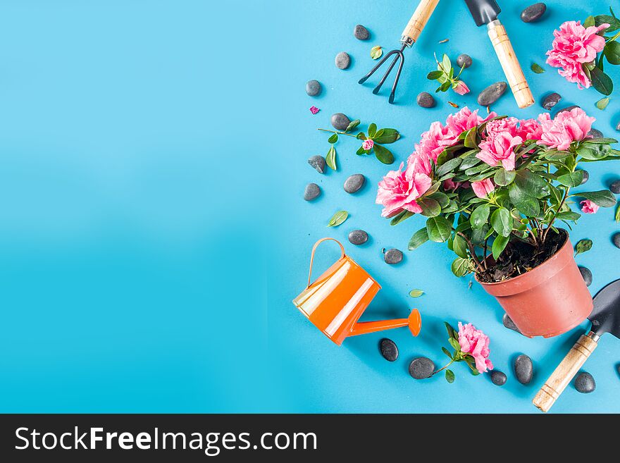 Home Gardening Flatlay