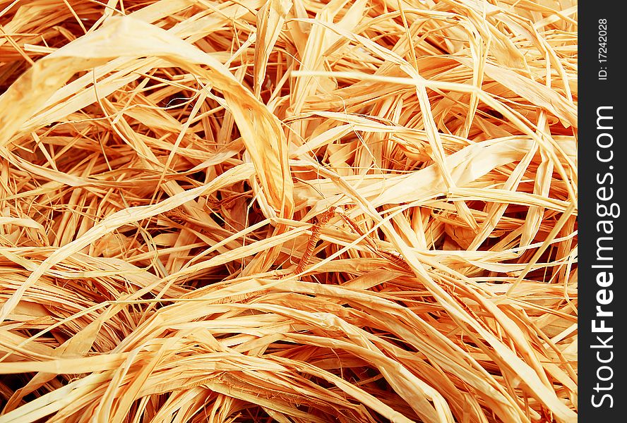 Closeup of a pile of reed