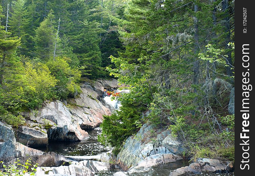 A single red branch hangs amidst a forest of green beside a cascading waterfall.