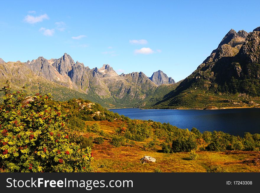 A quiet place in the nature in a european northern country