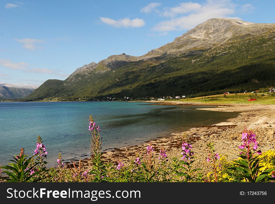 A quiet place in the nature in a european northern country