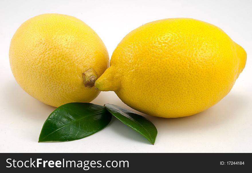 Studio shot of close up of lemons isolated over white