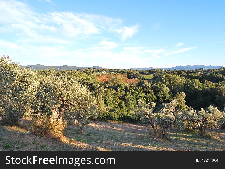 A landscape of the countryside of Tuscany, in Italy. A landscape of the countryside of Tuscany, in Italy.