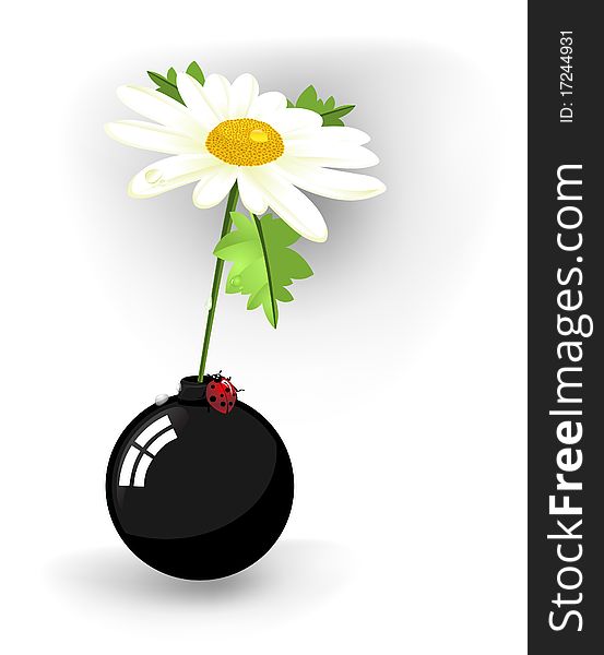 Chamomile flower in a vase in the form of bombs. Chamomile flower in a vase in the form of bombs