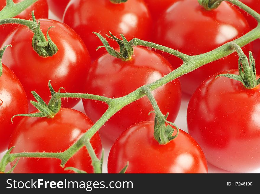 Bunch of fresh cherry tomato on white background. Bunch of fresh cherry tomato on white background