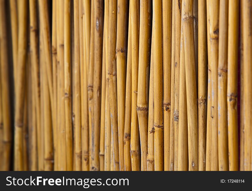 Yellow little bamboo trunks were in line by nails and arranged in fencing form. Yellow little bamboo trunks were in line by nails and arranged in fencing form.