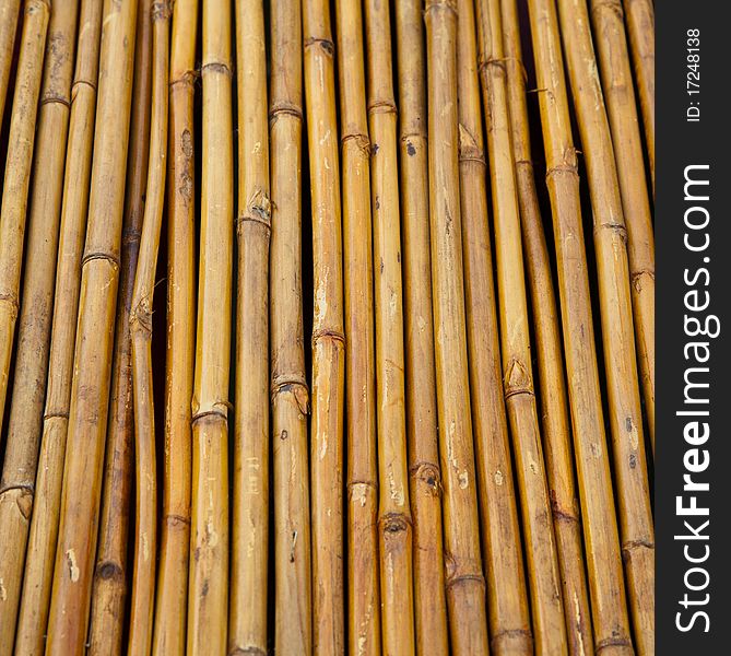 Yellow little bamboo trunks were in line by nails and arranged in fencing form. Yellow little bamboo trunks were in line by nails and arranged in fencing form.