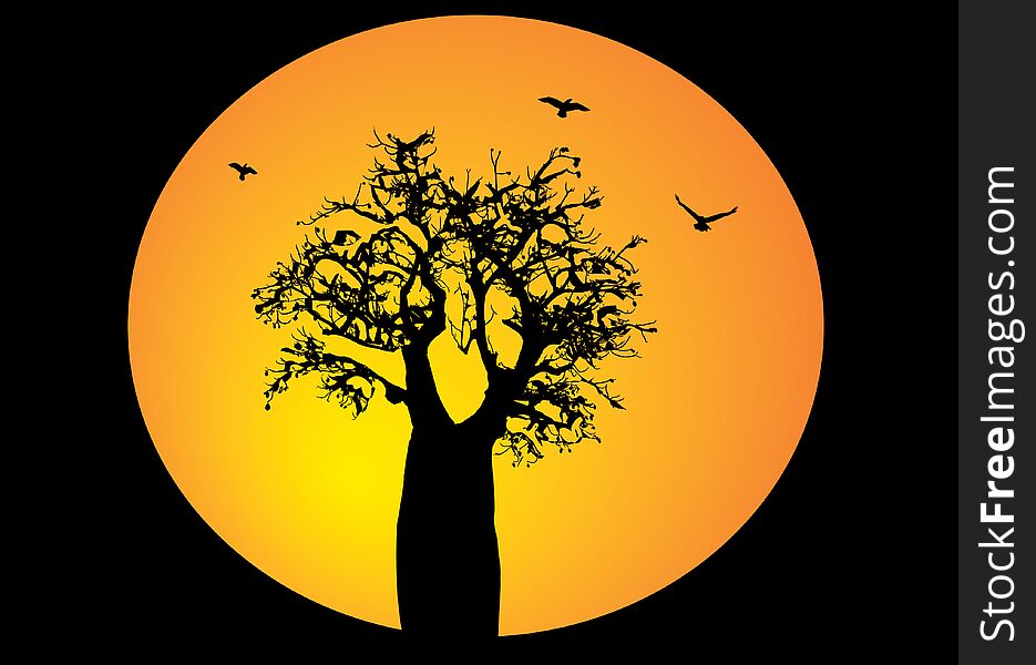 Boab tree with moon background and birds