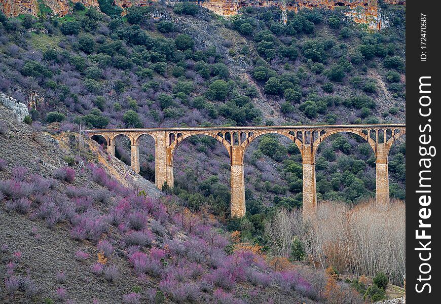 Isolated Stone Aquaduct In The Middle Of A Forest With Large Rocks