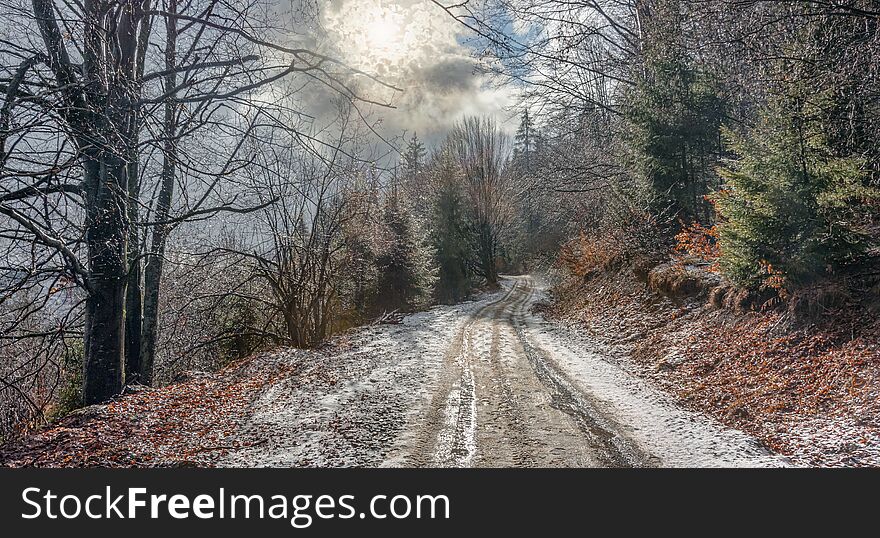Snowy road through the winter forest in Mizhhirya, Carpathians, western Ukraine