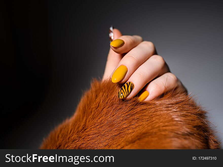 Nails Design. Hands With Bright Yellow Manicure On Background. Close Up Of Female Hands. Art Nail. Tiger manicure