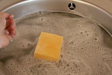 Sponge Stock Photo Sponge Stock Photo