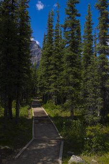 Hiking Trail On The Side Of A Mountain Royalty Free Stock Photography Hiking Trail On The Side Of A Mountain Royalty Free Stock Photography