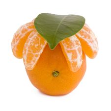 Tangerine With Leaf Stock Photography Tangerine With Leaf Stock Photography