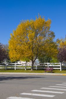 Park Bench On A Country Road In Autumn Stock Photos Park Bench On A Country Road In Autumn Stock Photos
