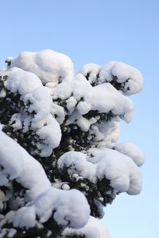 Wintertime Royalty Free Stock Images