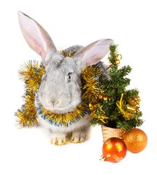 Gray Rabbit And Christmas Decorations Royalty Free Stock Photos Gray Rabbit And Christmas Decorations Royalty Free Stock Photos