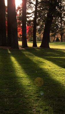 Long Shadows In The Park Stock Photos Long Shadows In The Park Stock Photos