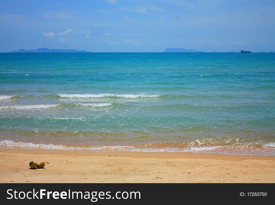 Coconut on the sunny beach, Samui island, Tailand. Coconut on the sunny beach, Samui island, Tailand