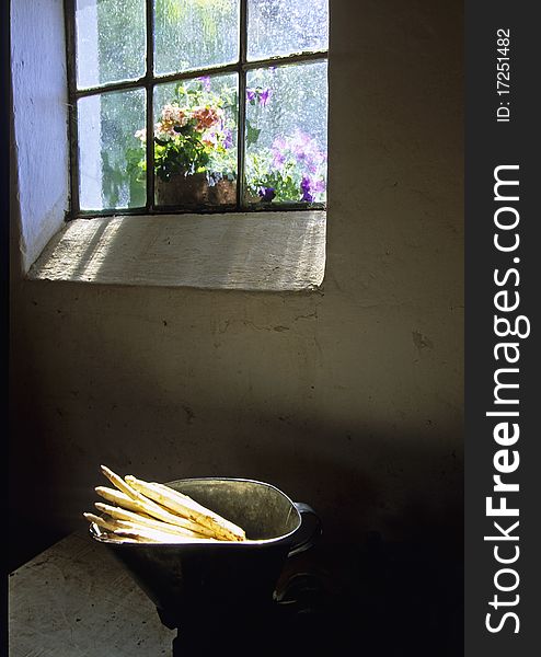 Bunch Of Asparagus In Tin Basket