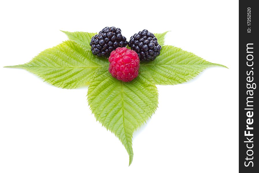 blackberries and raspberry on leaves, isolated on white