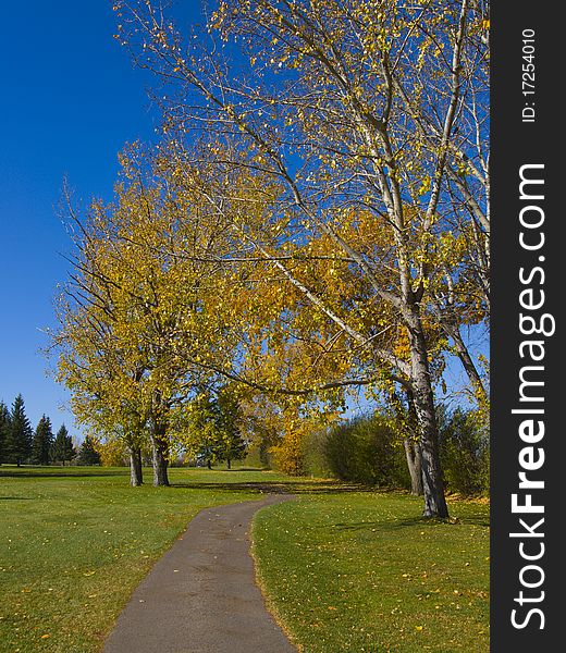 Bike path along a public golf course in the Autumn season. Bike path along a public golf course in the Autumn season
