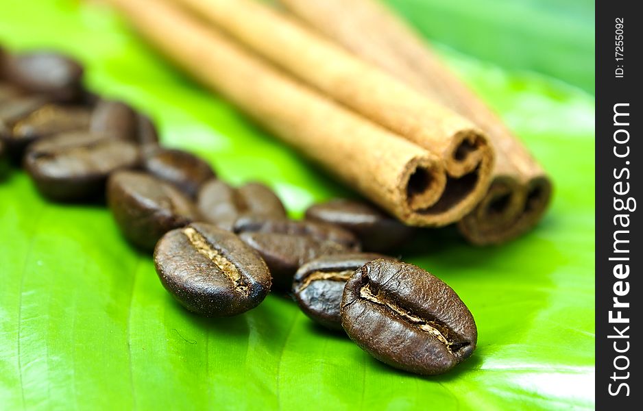Coffee beans in green background