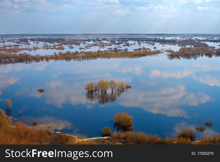 Trees in water-meadow view from above