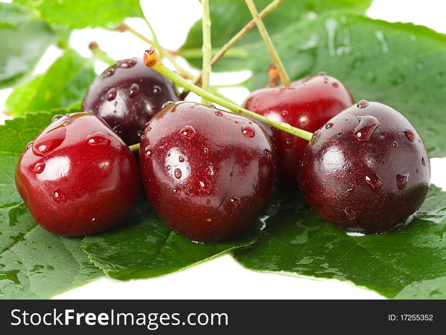 Sweet cherries with leaves, isolated on white