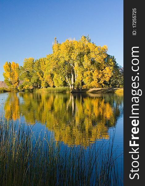 Fall Colors and Lake with Reflection in the Eastern Sierra