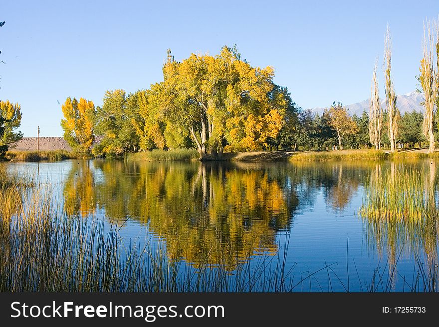 Fall Colors and Lake with Reflection