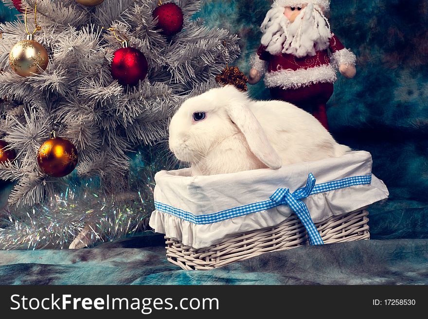 Christmas white rabbit in the basket with Santa Claus near the white Christmas-tree