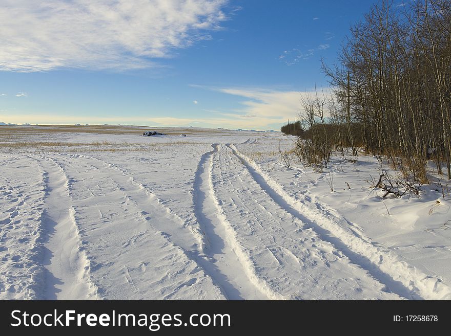 Tire track print in snow