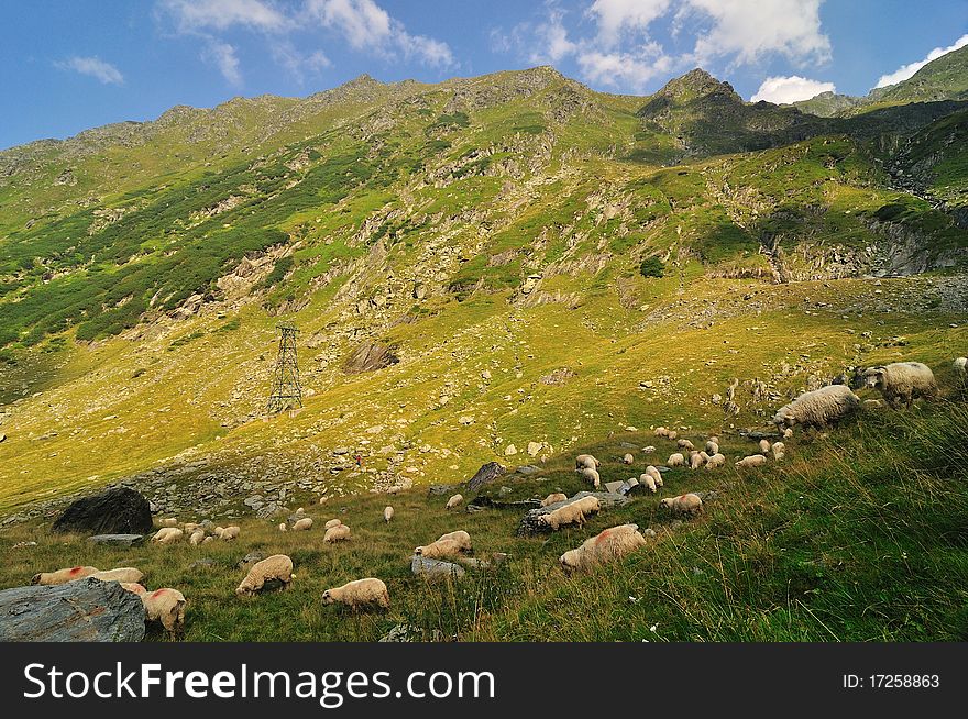 Mountains landscape in Rodnei mountains, Romania