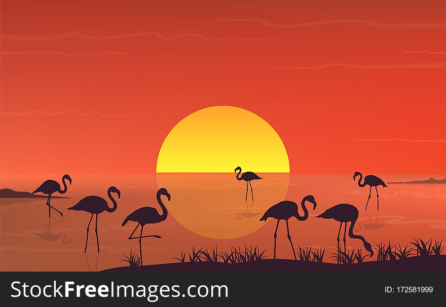 Flamingo silhouette at sunset landscape on lake scene. Beauty tropic scenery with birds in water and sun. Vector. Flamingo silhouette at sunset landscape on lake scene. Beauty tropic scenery with birds in water and sun. Vector