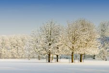 Beautiful Winter Landscape Stock Photos