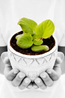 New Life Stock Images