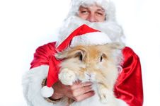 Photo Of Happy Santa Claus Holding A Cute Rabbit Stock Photo Photo Of Happy Santa Claus Holding A Cute Rabbit Stock Photo