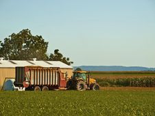 Vintage Tractor In The Field Stock Photography
