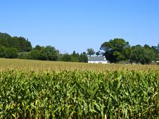 Amish Farm, Lancaster USA Stock Images Amish Farm, Lancaster USA Stock Images