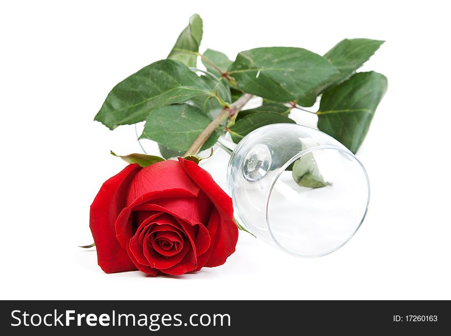 Red rose and a glass cup on a white background