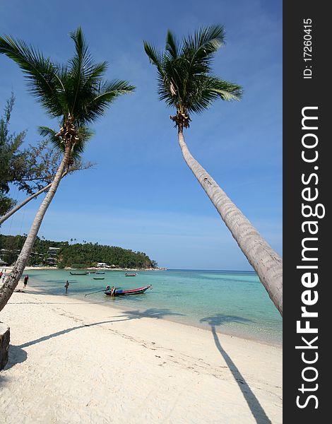 Perfect tropical white sand beach with palm trees foreground. Koh Phangan island, Surat Thani Province, Thailand.