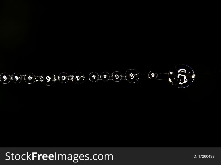 Close up view of some droplets of water on a spider web.