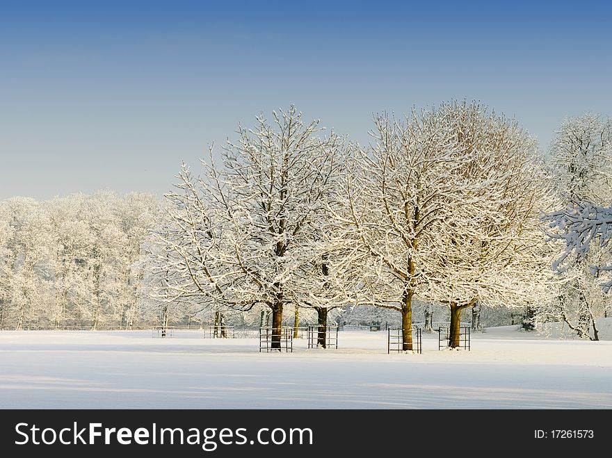 Beautiful winter landscape in the Netherlands ( Elswout Overveen)