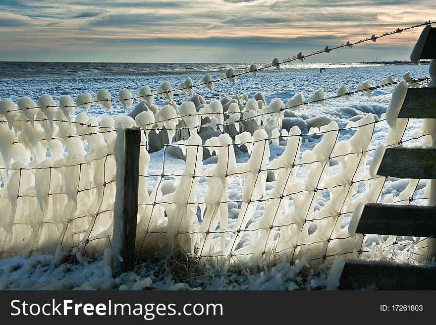 Fence covered in ice