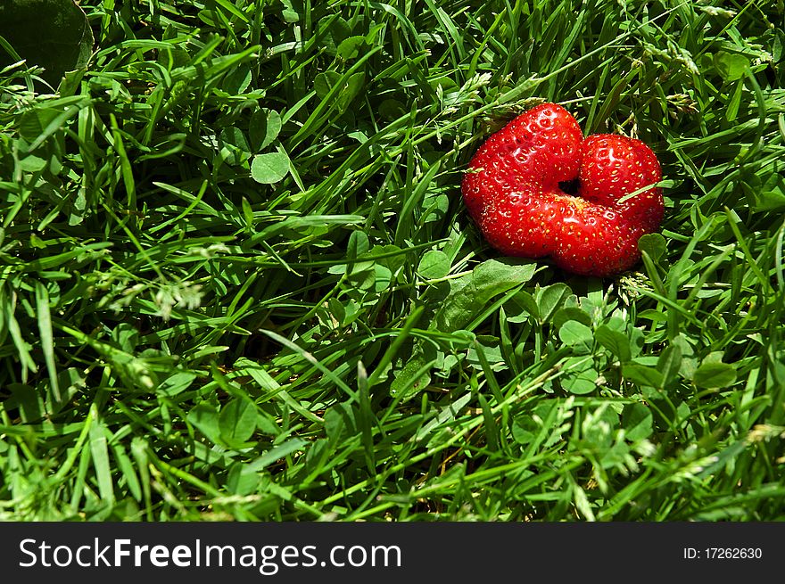 Strawberry shaped like lips lying in grass. Strawberry shaped like lips lying in grass